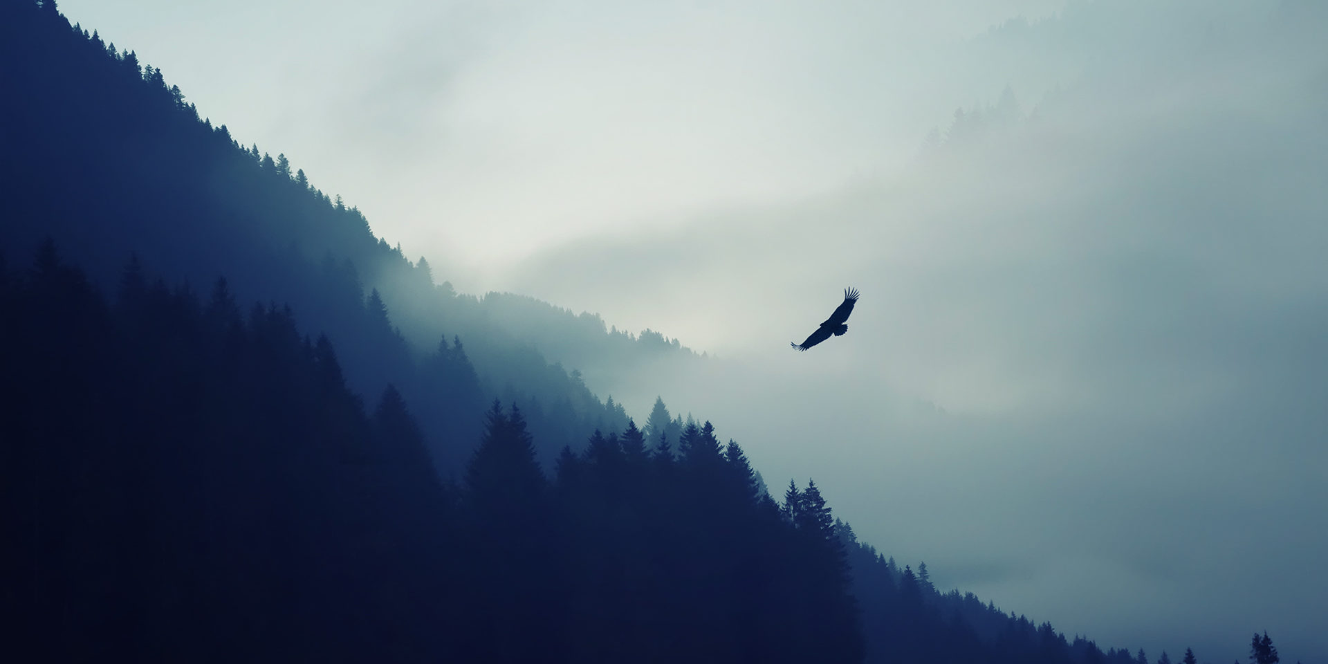 theeagle_1920x1080
